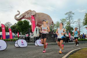 BIB: 
                            <button type="button" onclick="openModal(26528985)" class="btn btn-primary btn-sm float-right btn-popup" data-toggle="modal" data-target=".modal-high-quality">
                        <i class="fas fa-shopping-cart"></i> Add to Cart
                    </button>
                                            <button type="button" onclick="isThisMe(26528985, true)" class="btn btn-success btn-sm float-right btn-popup btn-isme hidden" data-toggle="tooltip" data-placement="bottom" title="นี่คือรูปของคุณใช่ไหม คลิกที่นี่เพื่อเอาเข้าอัลบั้ม">
                        <i class="fas fa-plus"></i> Add to album
                    </button>
                    <button type="button" onclick="isThisMe(26528985, false)" class="btn btn-warning btn-sm float-right btn-popup btn-isnotme hidden">
                        <i class="fas fa-ban"></i> Remove from album
                    </button>